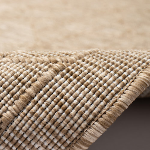 Latitude Run® Aria Indoor/Outdoor Area Rug | Wayfair